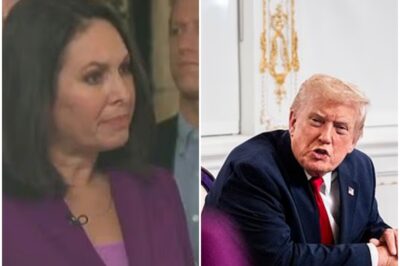 JUST IN  Pre.s.ident D.Tr.ump HUMILIATED a JOURNALIST in a stunning on-camera outburst, viciously snapping at the reporter with the words ‘ARE YOU STUPID? ARE YOU A STUPID PERSON?’