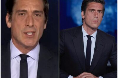 David Muir fans fume ‘ENOUGH WITH THE LIES AND COVERUPS’ as he halts show for huge news