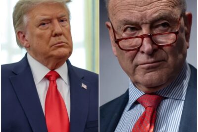 SHOCK IN NEW YORK: SCHUMER BLINKS AS T.R.U.M.P DROPS A BOMBSHELL OVER “SOCIALIST” FRONTRUNNER