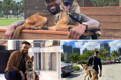 HEARTWARMING STORY: Lawrence Jones and His Service Dog Nala’s Unbreakable Bond — From Special Forces Inspiration to NYC Streets! What started as a chance meeting with a decorated military dog sparked a life-changing partnership for the Fox host. Now, Nala not only supports Jones everywhere but even manages to steal the spotlight in one surprising way he’s just revealed. Discover their incredible journey and the secret behind Nala’s charm!