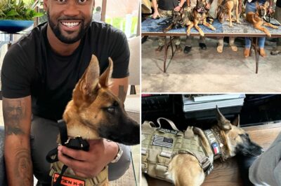 “She saved my life first” — Lawrence Jones’ unlikely guardian angel wears a vest and four paws. Fox’s rising star reveals how a tail-wagging stranger turned into his soul’s protector—on and off screen. Forget teleprompters—his greatest lessons come from her eyes. From military bases to backstage studios, Nala has been more than a companion—she’s his mission. But what drove this fearless anchor to open up now? And how did one silent gesture from Nala change everything? Inside the bond that’s breaking barriers—and healing heroes…