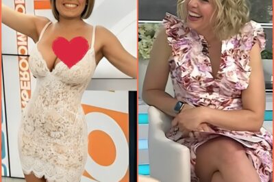 For 13 years, Dylan Dreyer never missed a cue — until now. In the last minute of Today, she set down her notes and revealed a secret she’s been hiding for four years. No applause. No music. Just silence… and the most personal breaking news of her life.