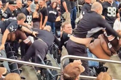 Shocking Fan Footage Shows Raiders & Browns Fans Throwing Hands During Massive Brawl In The Stands [VIDEO]