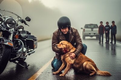 A Biker Rescued a Wounded Dog on the Highway – But When a Little Boy Saw It, His Whole Family Fell to Their Knees in Tears