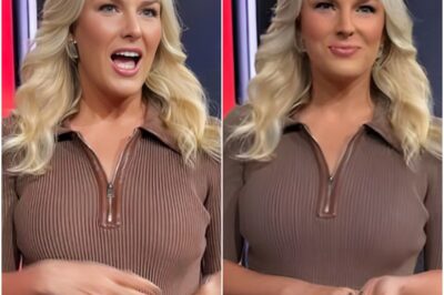 Shae Cornette Stunned Into Silence On Live TV After Jaw-Dropping “Deadbeat Dad” Comment Shakes Up ESPN’s ‘First Take’😳🔥Viewers thought they were watching a routine debate — until a guest dropped a “deadbeat dad” bombshell so sudden and personal that Shae Cornette froze on live television. Producers scrambled, the panel descended into chaos, and insiders say the moment was so explosive that ESPN executives reacted immediately behind the scenes.k