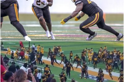 ABSOLUTE CHAOS: 9 Players Ejected After Insane Fight Erupts During Bethune‑Cookman Wildcats vs. Grambling State Tigers, Producing One of the Wildest Scenes in Recent Memory🔴.What started as a heated but competitive HBCU showdown plummeted into pandemonium at the stroke of halftime. Tensions exploded when the Wildcats’ sideline and the Tigers’ entrance collided, sparking a full-blown melee near midfield. Within minutes: nine players — five from Grambling State, four from Bethune-Cookman — were escorted off the field in ejections, and the second half was delayed while officials scrambled to restore order.k