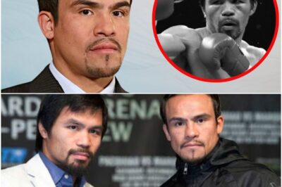THE TRUTH THAT SHAKES THE BOXING WORLD! AT 52 YEARS OLD, JUAN MANUEL MÁRQUEZ FINALLY ADMITS WHAT WE ALL SUSPECTED FOR YEARS! After decades of glory and epic battles, the legendary boxer breaks his silence and reveals a secret that will forever change his legacy and the history of the sport. “When the champion speaks, the world listens” Get ready to discover the confession that has left fans and critics in shock and with their mouths open.k