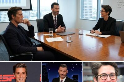 RUMOR: Rachel Maddow, David Muir and Jimmy Kimmel are said to be involved in a new news project.  Social media is exploding with speculation after a viral claim suggested that three of the most powerful names in American media — Rachel Maddow, David Muir, and Jimmy Kimmel — could be linked to a bold new kind of news platform. According to the buzz, the idea centers on independence: no traditional advertising, no corporate pressure, and a promise of unfiltered storytelling.