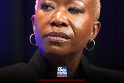 CAROL CONTROVERSY: Former MSNBC host Joy Reid took issue with the popular Christmas carol “Jingle Bells,” reposting a viral video that describes the beloved song as racist.