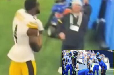 New Camera Angle Emerges Of Dk Metcalf Grabbing And Punching Lions Fan, And It’s Even Worse Than We Thought(VIDEO)📹The footage just escalated everything. A new angle is making the rounds showing a clearer, uglier view of the moment DK Metcalf grabbed a Lions fan and threw the punch — and the replay hits harder this time, sparking instant outrage as the clip spreads like wildfire.K
