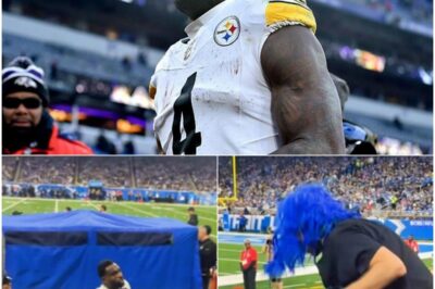 Shocking New Fan Footage Exposes the Real Reason DK Metcalf Grabbed and Punched Lions Fan in Wild Altercation 🔥 A raw fan-shot clip rips across social media, catching the exact instant DK Metcalf lunges toward a Lions fan, grabs him, and unleashes a blow that turns shock into silence. The chaos feels sudden, but the tension tells a different story — a moment charged with unseen buildup, a line crossed off-camera, and a superstar snapping in public as the crowd realizes this wasn’t random, it was inevitable.k