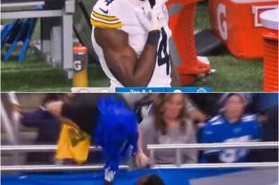 Clear New Photo of Lions Fan Punched by DK Metcalf EMERGES — and the Internet Can’t Stop Pointing Out the Same Eerie Detail 📸The new image hits the timeline in razor-sharp focus, freezing the Lions fan’s face, posture, and expression at the heart of the DK Metcalf punch saga — and one unsettling detail in that frame has comment sections locked in, repeating the same stunned reaction as the whole incident suddenly feels darker, louder, and way more suspicious.k