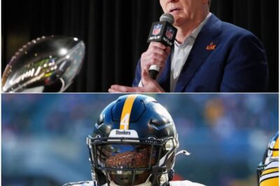 BREAKING: NFL SLAMS DK Metcalf With a MASSIVE Punishment After Lions-Fan Punch — A Brutal Decision That Just Changed Everything 🚨The league’s message comes through loud and merciless: consequences are here, and they’re bigger than anyone expected. With one swift ruling, the NFL turns a viral flashpoint into a full-blown fallout, sending shockwaves through fans, locker rooms, and headlines alike — because this isn’t a quiet slap on the wrist, it’s a statement moment that drags every second of that altercation back into the spotlight.K