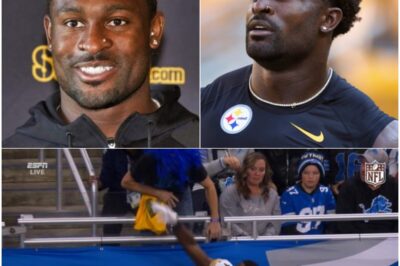 Lions Fan UNLOADS an Epic Clapback After DK Metcalf’s Shocking Accusation — The Sideline Punch Drama Just Got Even UGLIER 🦁 The fallout isn’t slowing down — it’s escalating. After the wild sideline moment exploded into a viral frenzy, DK Metcalf’s accusation lit a fresh match… and the Lions fan didn’t just respond, he fired back with a blistering clapback that’s now ripping through social media like a headline-grenade. The tone is sharp, the message is icy, and the timing makes it feel like a calculated strike — turning one chaotic punch incident into an all-out war of words that refuses to die.k