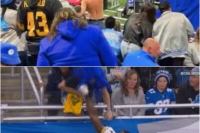 Shocking New Details Uncover What Lions Fan Said to DK Metcalf That Caused Him to Throwing a Punch
