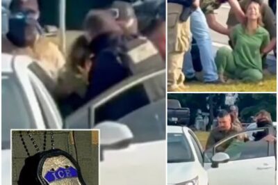 ‘HELP ME!’ Hospital worker’s TERRIFIED SCREAM as ICE DETA!N her in harrowing video