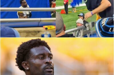Shocking New Fan Footage Exposes the Real Reason DK Metcalf Grabbed and Punched Lions Fan in Wild Altercation [VIDEO]