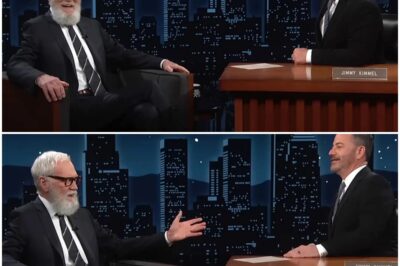In David Letterman’s first visit since Jimmy Kimmel returned from his six-day suspension, the former talk show host praised him and his fellow late night hosts for ‘defending democracy.’