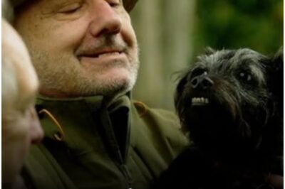 Bob Mortimer Shares Heart-Melting Update on Ted: The Dog Who Stole the Nation’s Heart