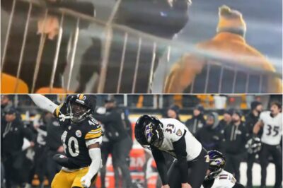 Steelers Fans Allegedly K!lled a Raven and Then Taunted Baltimore Fans With It After Sunday’s Win 🚨😳What should’ve been a routine postgame celebration has turned into an ugly controversy. Steelers fans are being accused of k!lling a raven bird and then using it to mock Baltimore supporters after Sunday’s win. The allegation is spreading fast because it goes far beyond trash talk—photos and reactions online have turned it into a heated debate, and the backlash is growing by the hour.K