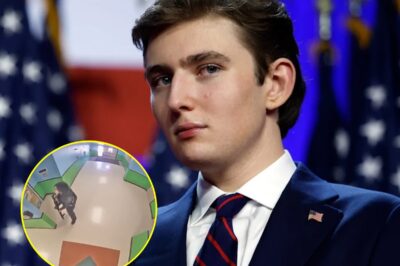 BREAKING: Barron Tr:u:m:p Praised For Saving British Woman’s Life After Calling Police On Alleged R@pist During Video Call, As Leaked Transcript Sends Shockwaves.K