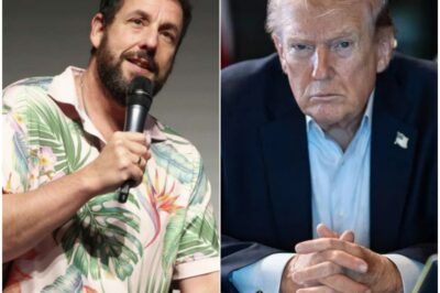 Breaking News:“Chaos Isn’t Random” – Adam Sandler’s Stunning TV Remarks Ignite Nationwide Political Firestorm