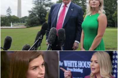 Karoline Leavitt slams ‘disingenuous’ Kaitlan Collins during fiery debate with CNN anchor