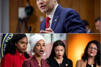 “I’M TIRED OF PEOPLE WHO KEEP INSULTING AMERICA.Especially those who came here fleeing danger, built fortunes on our freedom, then spit on the flag that saved them—while cashing $174k salaries and jetting overseas to bash us”. Senator Marco Rubio didn’t just speak—he detonated truth b0mbs across the chamber.K