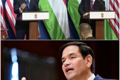 Breaking News: Marco Rubio unleashes bold America First power move as U.S. slashes citizenship exit fee and draws a hard line on loyalty — patriots cheer a fearless stand for national pride while critics erupt over a nation that refuses to apologize for putting America first