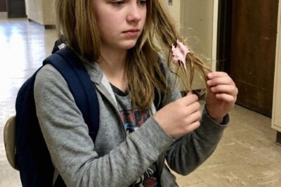 Three girls stuck gum in my daughter’s hair during 7th grade science class — her response made them beg for forgiveness.