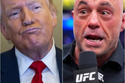 WHITE HOUSE CLAPBACK: Joe Rogan Sparks Political Firestorm After Accusing D0nald Tr:ump of “Betraying” Americans — Now the White House blunt Fires Back .k