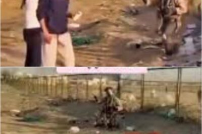 Dramatic Moment Unfolds as Kuwaiti Local Approaches U.S. F-15 Pilot Seconds After Ejection from Sh0t-Down Aircraft — Heart-St0pping Moment Caught on Camera [VIDEO].K