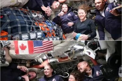 FACT CHECK: Did NASA Get Caught Releasing Fake CGI Footage Of Artemis II Crew During CNN Interview? (video).k