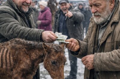 Everyone laughed when the old man bought a dying foal. No one expected what happened next.